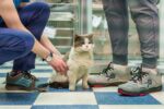 noir de jais/gris ardoise chaussures Kuru 68LZ38 quantum femmes – Image 3